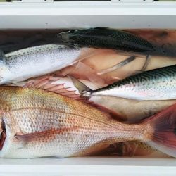 康仁丸・ジギング釣り果